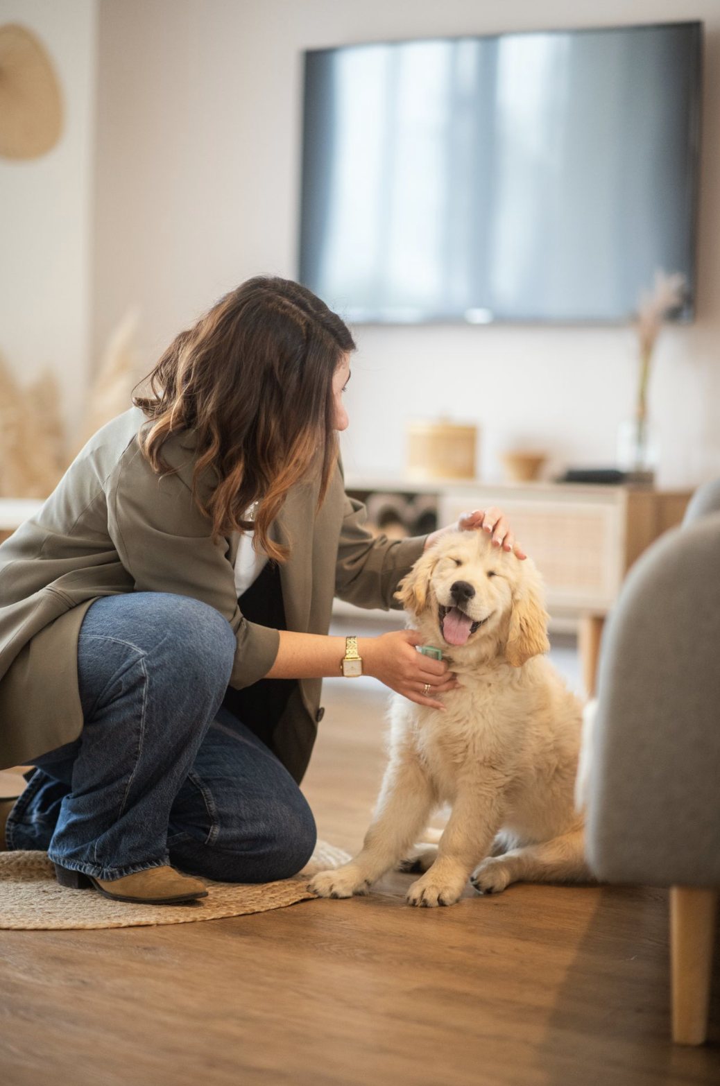 Chiot golden retriever et sa maîtresse à la maison