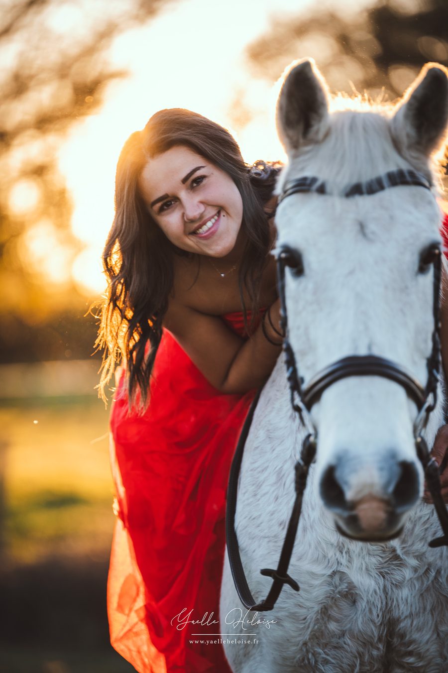 Complicité entre une cavalière et son cheval blanc