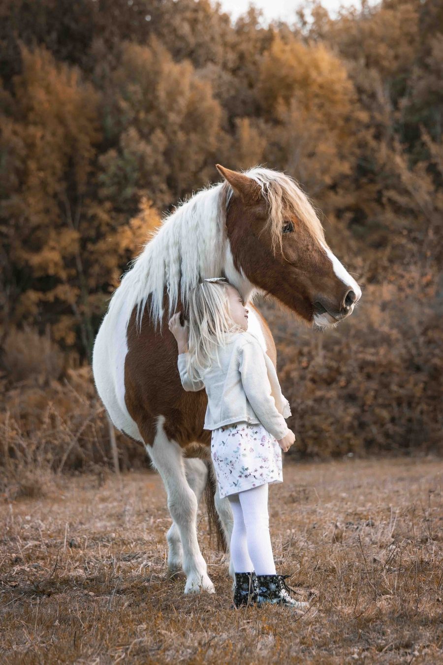 Complicité entre une fillette et son poney, séance photo équine Tarn