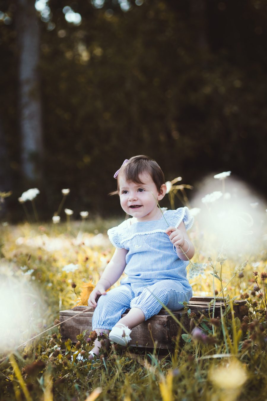 Bébé assis dans l'herbe au milieu des pissenlits